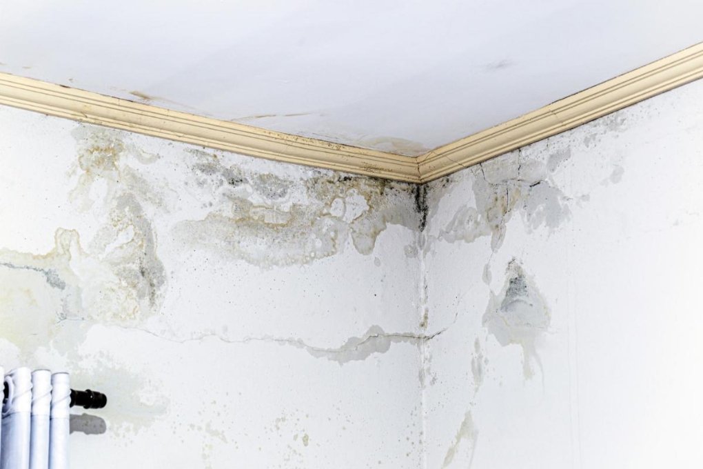 Signs of Water Damage in Home