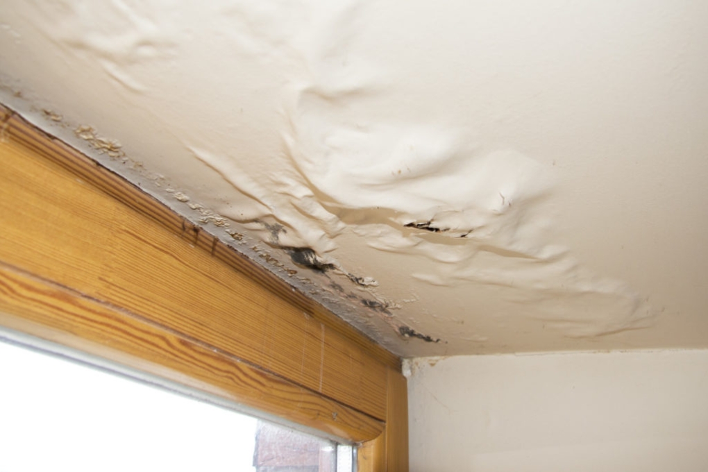 Water Damage and Its Impact on Your Home