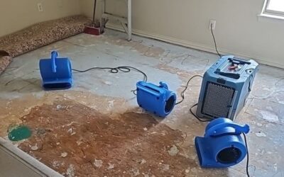 Detecting Carpet Water Damage: What to Look For