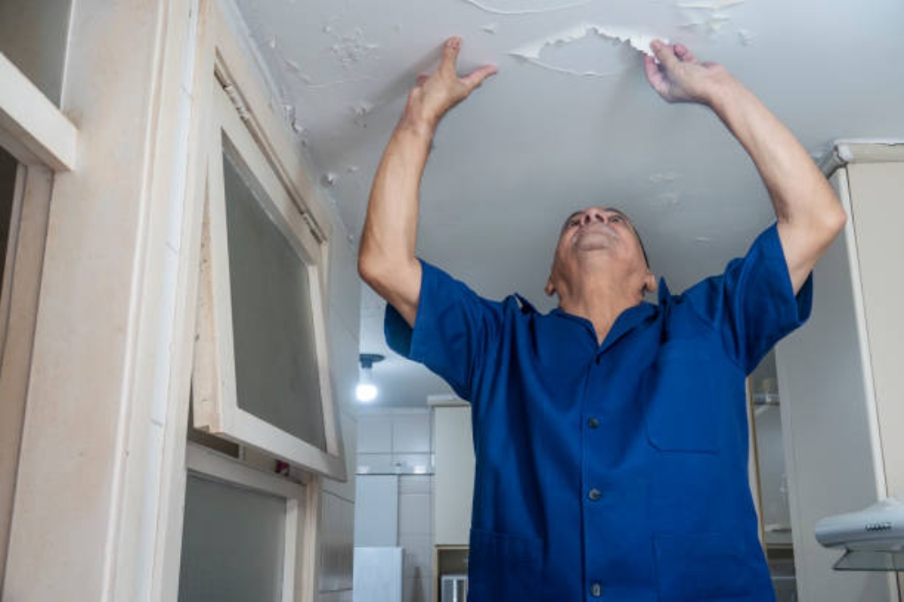 Taking Immediate Action for Ceiling Repair Water Damage