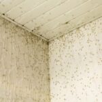 How to Fix Popcorn Ceiling Water Damage
