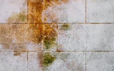 How to Get Rid of Orange Mold in the Shower and on Wood?