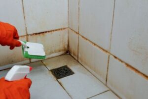 When to Call a Mold Remediation Specialist - SS Water Restoration