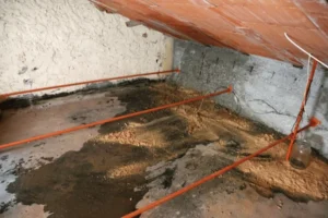 Common Causes of Water Damage in the Attic - SS Water Restoration