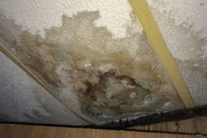 Common Sources of Water Damage That Lead to Mold - SS Water Restoration
