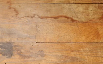 How to Remove Moisture From Wood Floors? What You Need to Know