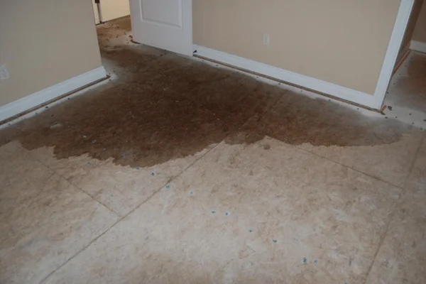 Signs of Water Damage Under Tile