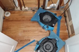 The Importance of Removing Moisture from Wood Floors - SS Water Restoration