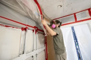 The Mold Remediation Process – What to Expect - SS Water Restoration