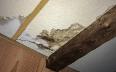 Unraveling the Link Between Water Damage and Mold