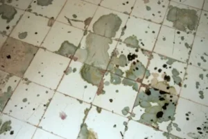 Why Water Damage Under Tile Floors Is a Serious Concern - SS Water Restoration
