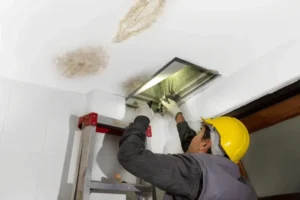 Why Water Damage in the Attic Shouldnt Be Ignored - SS Water Restoration