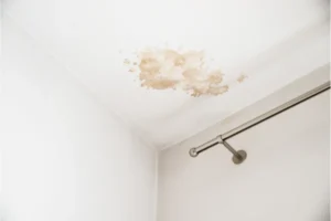Recognizing Water Damage from Leaks and Moisture - SS Water Restoration