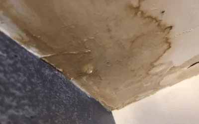 Signs of Water Damage: Early Warning Indicators Every Homeowner Needs to Know