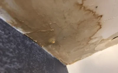 Signs of Water Damage – Early Warning Indicators
