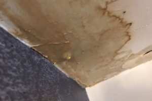 Why Its Important to Know the Age of Water Damage - SS Water Restoration