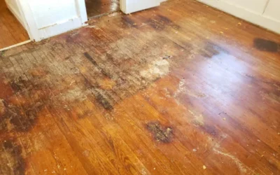Restoring Water-Damaged Hardwood Floors (Step by Step)