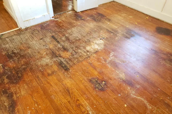 Restoring Water-Damaged Hardwood Floors (Step by Step) - SS Water Restoration