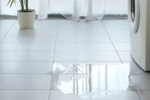 Common Home Appliances That Can Cause Water Damage - SS Water Restoration