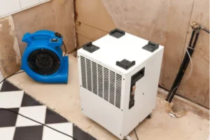 Handling Existing Water Damage in the Basement - SS Water Restoration