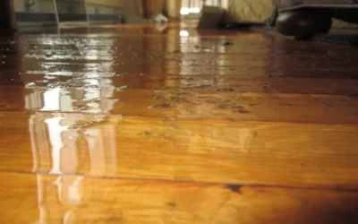 How to Prevent Water Damage to Floors in High-Moisture Areas?
