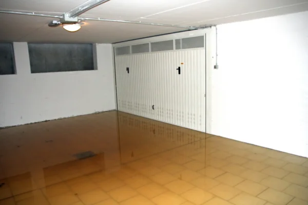 Tips to Prevent Basement Water Damage Before It Happens