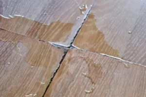 Understanding Water Damage in High-Moisture Areas - SS Water Restoration