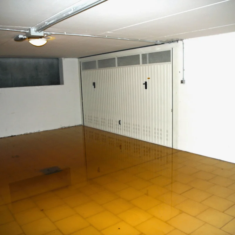 basement water removal service