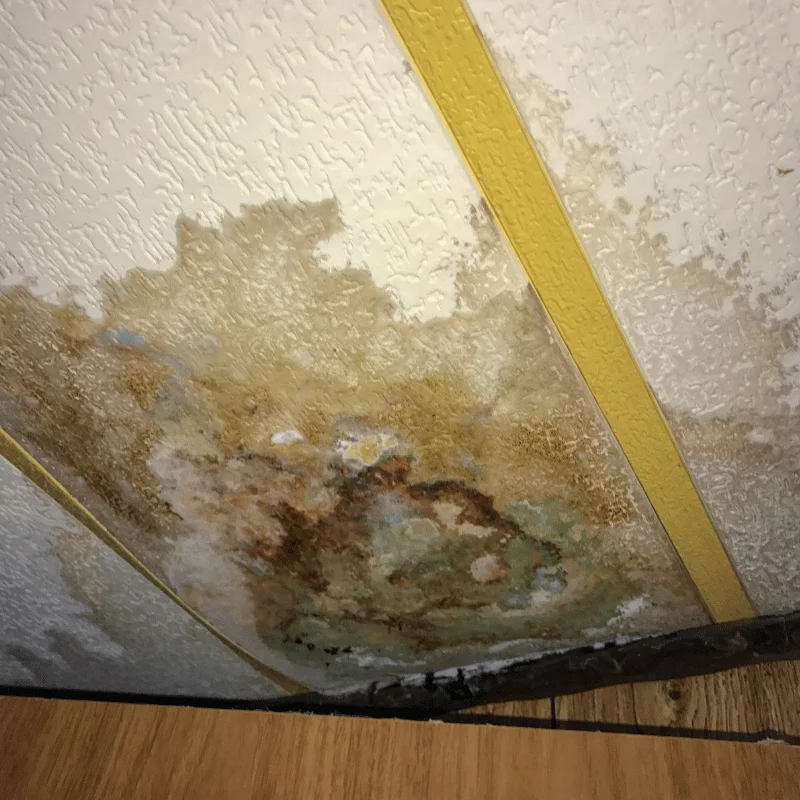 water mitigation