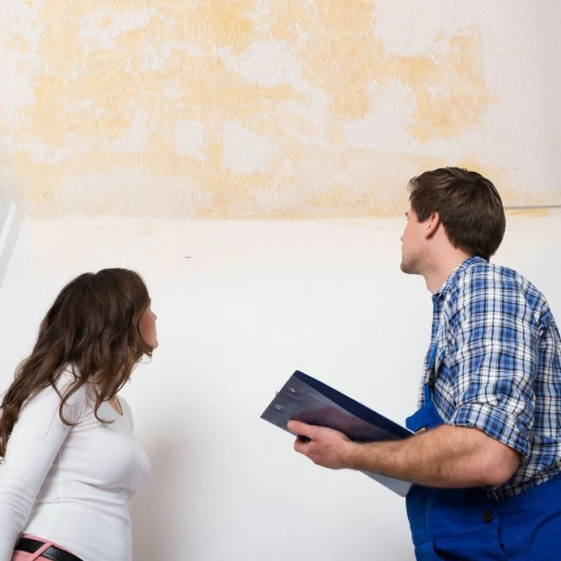Benefits of Hiring a Water Restoration Contractor Benefits of Hiring a Water Restoration Contractor