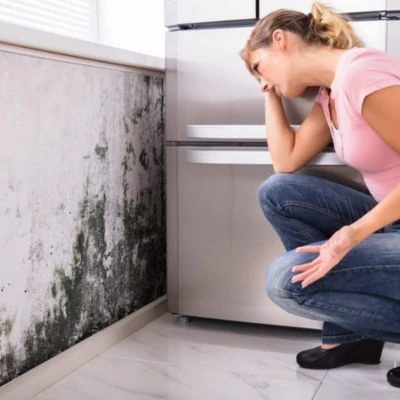 Cold or Damp Walls