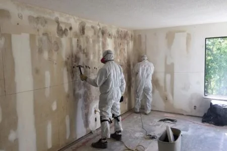 Trusted Mold Remediation Company in Cross Roads, TX Trusted Mold Remediation Company in Cross Roads, TX