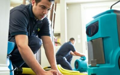 What Happens After Water Damage Restoration Service? A Homeowner’s Long-Term Checklist