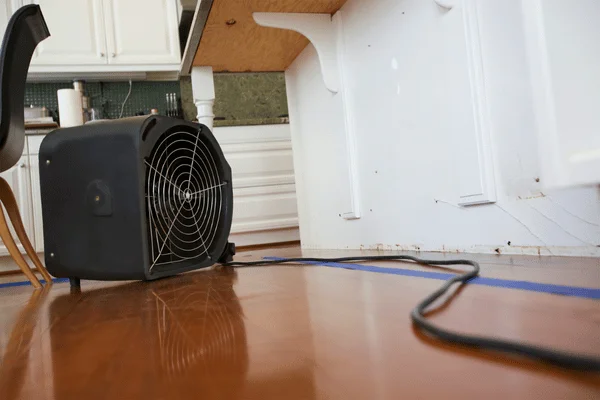 Water damage restoration floor in Celina TX kitchen cabinets with mold