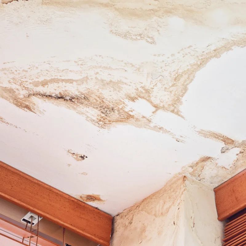 Water damaged ceiling Celina TX damaged celing uneven color