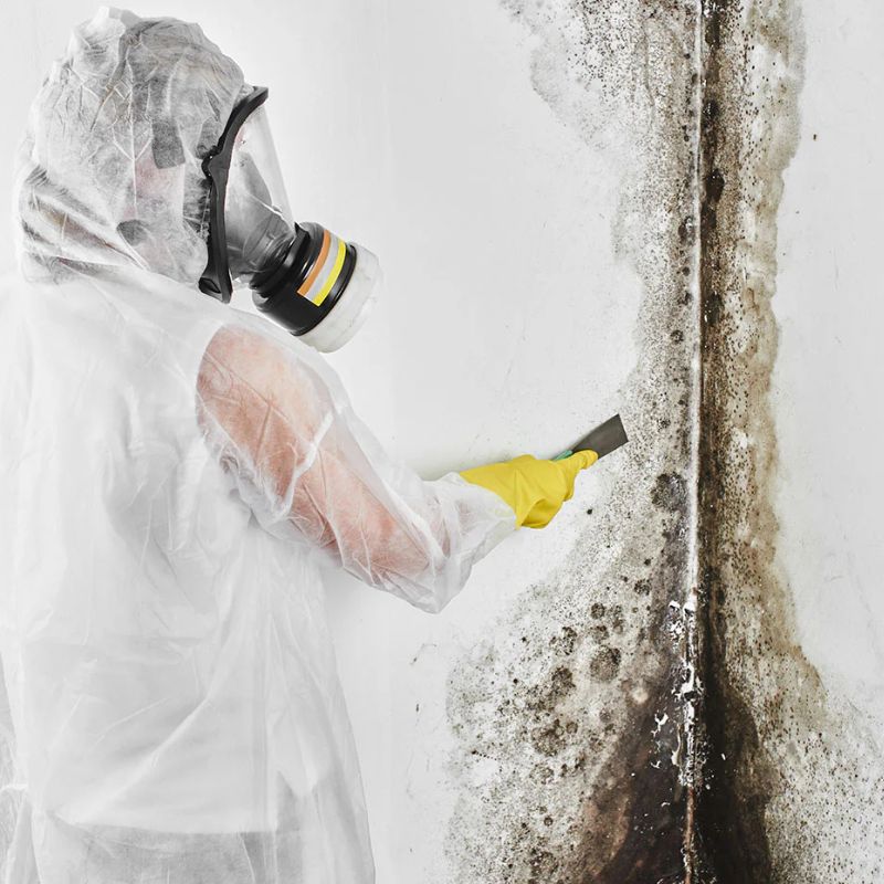 expert mold remediation service in Collin County TX - SS Water Restoration expert mold remediation service in Collin County TX