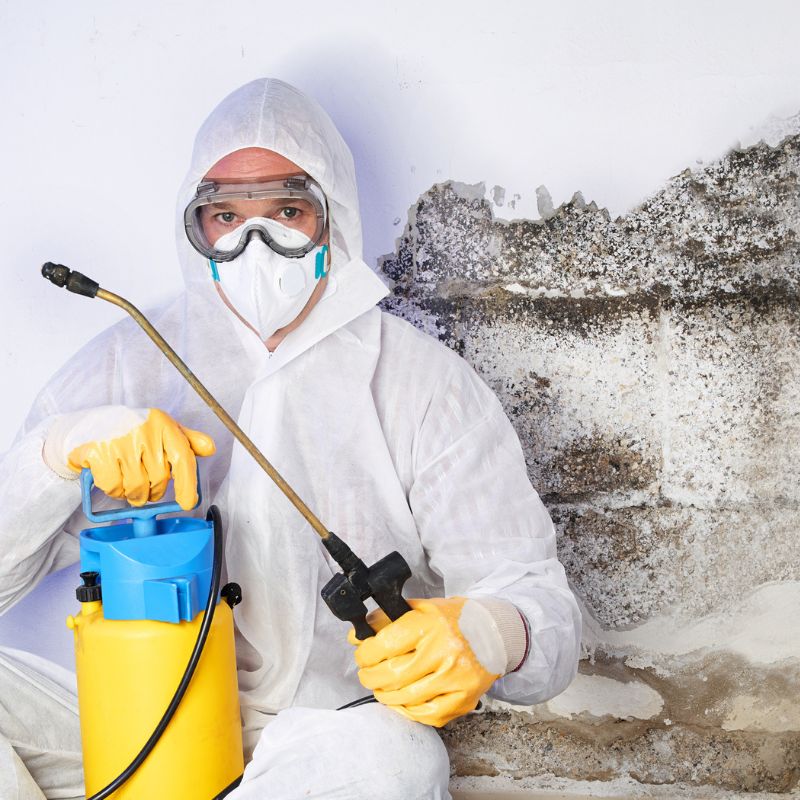 mold remediation in Denton County TX - SS Water Restoration mold remediation in Denton County TX