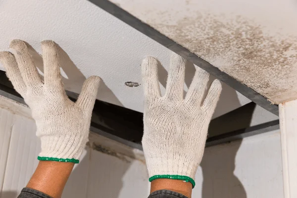 water damage restoration benefits in Highland Village TX