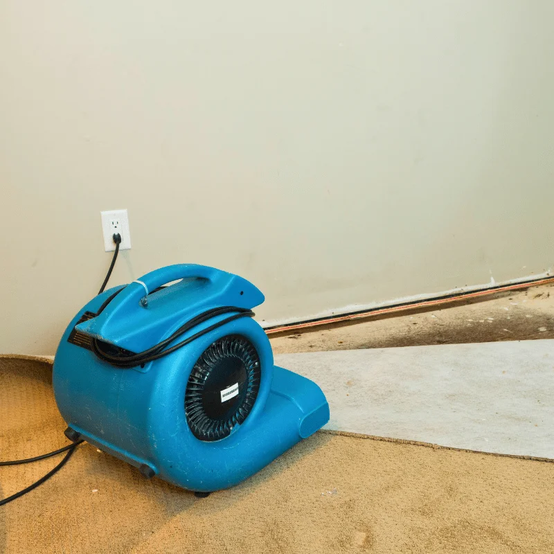water mitigation in collin county tx water mitigation and restoration in collin county tx