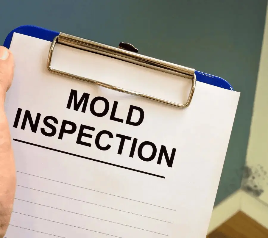 Assessment and Inspection - SS Water Restoration