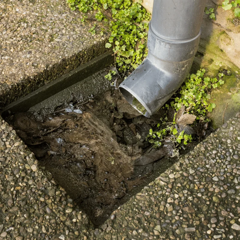 Block Drains - SS Water Restoration