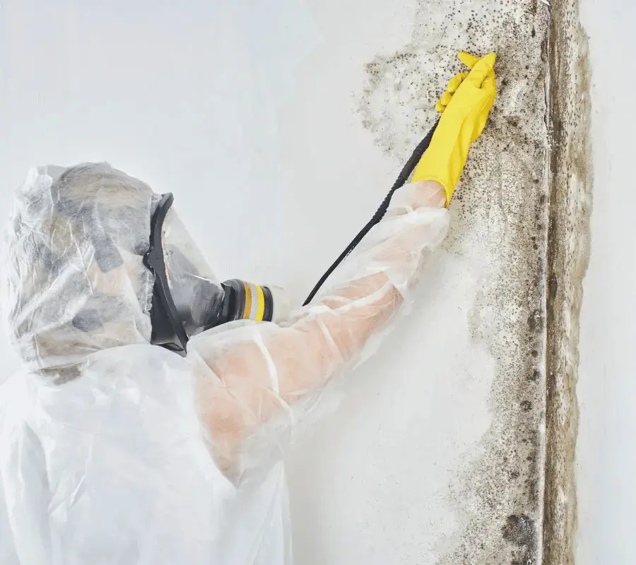 Mold Removal - SS Water Restoration