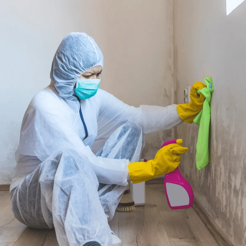 Post-remediation testing and clearance mold