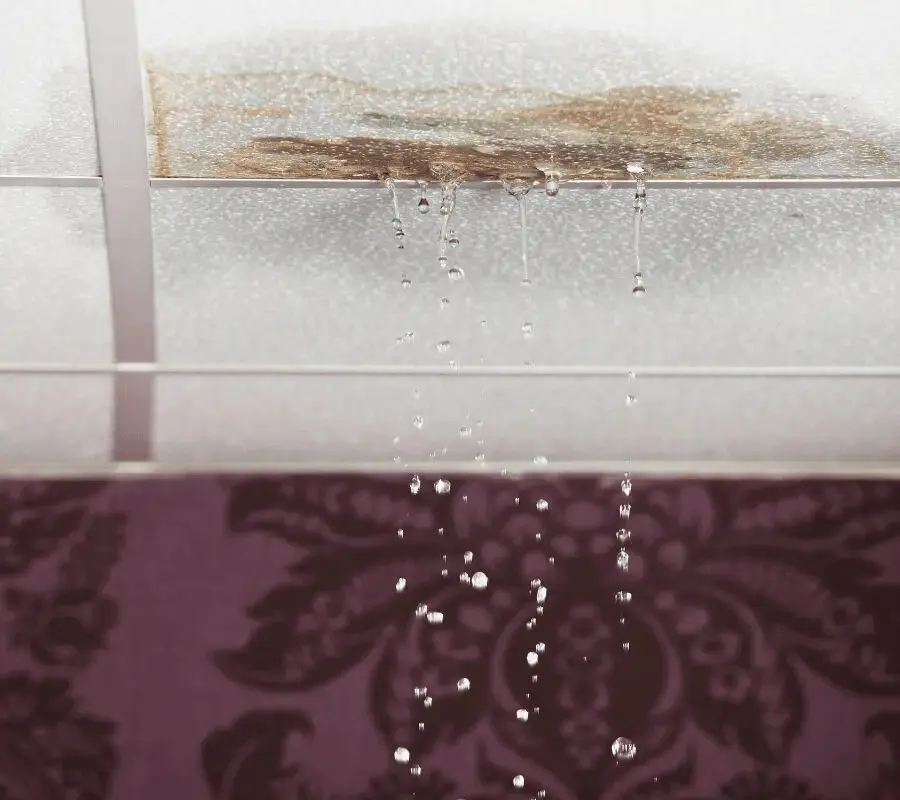 Prevention Recommendations - SS Water Restoration