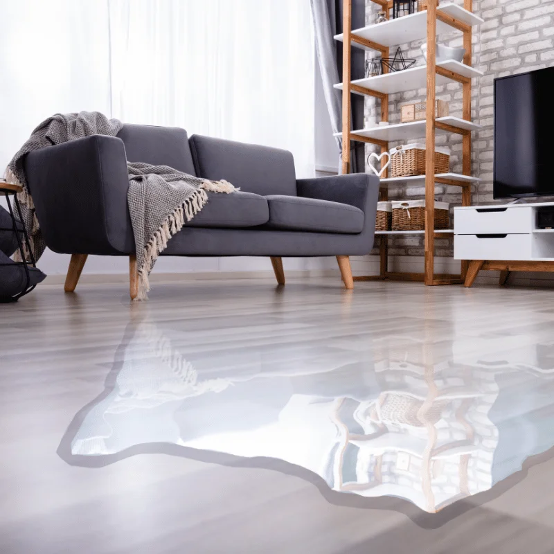 SS Water Restoration-Water Mitigation Company in Lewisville, TX