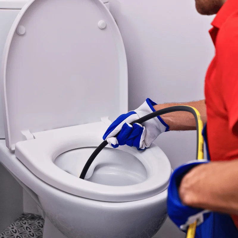 sewage contractor fixing toilet blockage