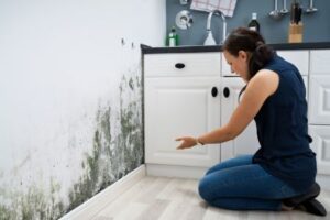 Why Mold on Walls Is a Serious Problem - SS Water Restoration