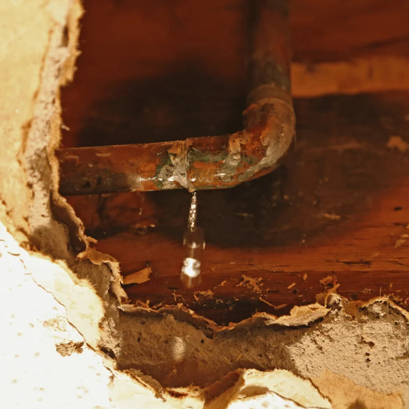 drain sewage leak