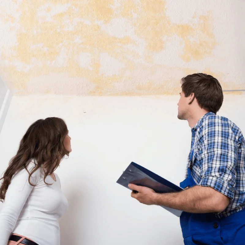 Benefits of Hiring a Water Restoration Contractor - SS Water Restoration