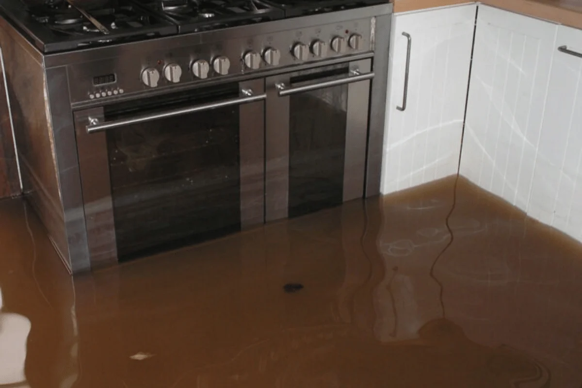 Expert Water Damage Repair and Cleanup in McKinney - SS Water Restoration